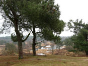 Nationaal Park De Maasduinen