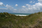 Duinen bij Zuydecote