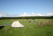 camping in Gosford Forest Park