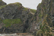 Rope Bridge