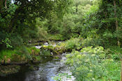 Wellbrook Mill