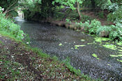 Newry Canal met regen