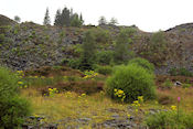 Wandeling naar Aberfoyle Bat Cave