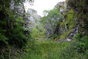 Wandeling naar Aberfoyle Bat Cave