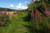 Wandeling langs de Tweed