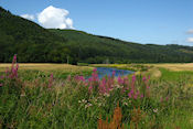 Wandeling langs de Tweed