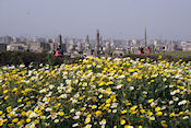 Al-Azhar park