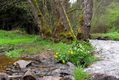 Waterval van Gournoux   