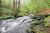  Waterval van Gournoux  