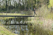 Onderweg  naar cache Cruysbergen 