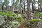   Onderweg in Bjrnnsets naturreservat   