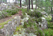    Onderweg in Bjrnnsets naturreservat  