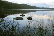  Repovesi national park  