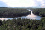  Repovesi national park  