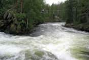   Kleine Berenroute in Oulanka Nat .Park 