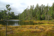  Kleine Berenroute in Oulanka Nat .Park  