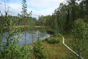  Kleine Berenroute in Oulanka Nat .Park  