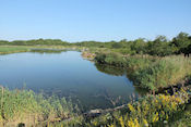   Mooie natuur, ook bij de haven  